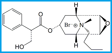 HYOSCINE BUTYLBROMIDE / N-BUTYL SCOPOLAMMONIUM BROMIDE